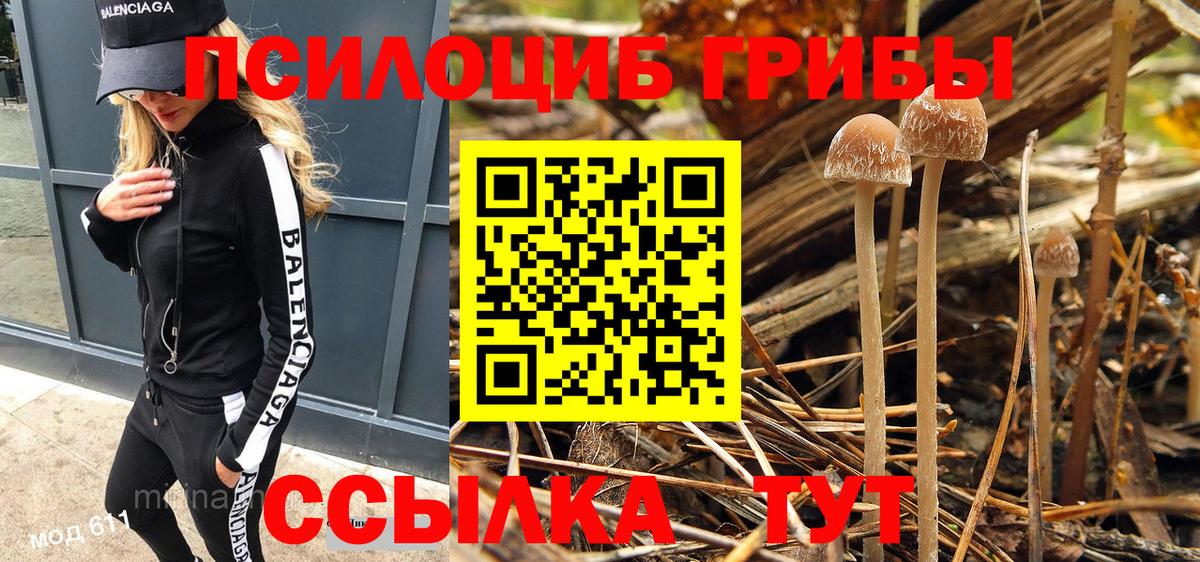 Галлюциногенные грибы MAGIC MUSHROOMS Орехово-Зуево