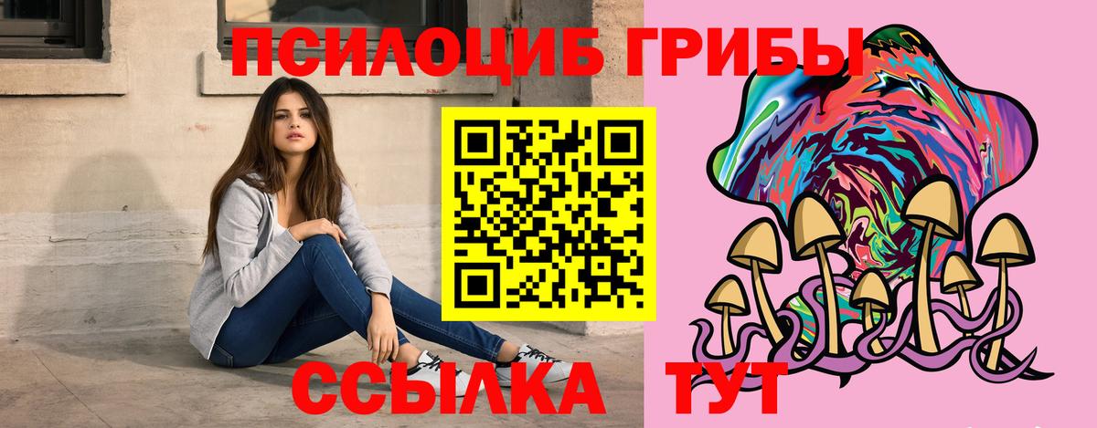 Галлюциногенные грибы Psilocybe  Вход с VPN  Орехово-Зуево 